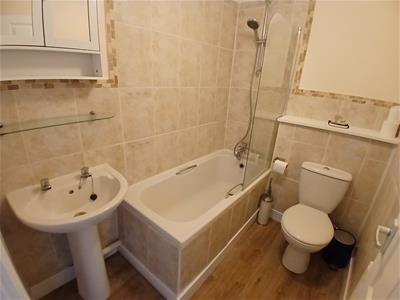 Picture 25
